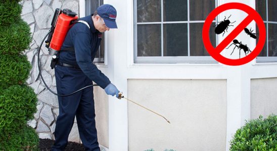 Pınarbaşı Bit İlaçlama böcek ilaçlama ve haşere kontrolü — ilaclama-tr.com